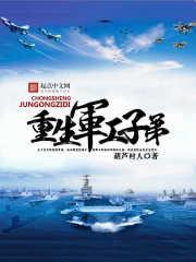 重生军工子弟结局