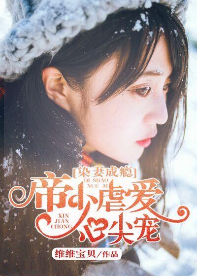 染爱成瘾凌少历宠小甜妻